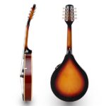 A Style Elegant Mandolin with Guard Board Sunset - Image 22