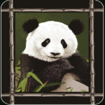 Soft Silk Touch Flannel with Sherpa Lined Throw 50"X60" Panda - Image 5
