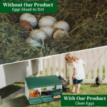 3 Compartment Roll Out Chicken Nesting Box with Plastic Basket, Egg Nest Box Chicken Laying Box Hens Chicken Coop Box, Green - Image 8