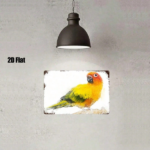 CIFbuy 1pc 8x12 Inch Sun Conure Parrot Metal Sign, Sturdy 2D Flat Wall Plaque For Home Bedroom Kitchen Bar Restaurant Decor TikTok, TikTok, Self-pickup Logiopics - Image 3