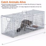 Heavy-Duty Live Animal Trap - 37x14x15 Inch Galvanized Mesh, Sensitive Pedal Trigger & Rear Release Door, Guarded Handle, Foldable Design for Raccoons, Armadillos, Small Dogs Under 55 lbs - Image 11