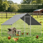 Chicken Coop - Image 7