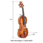 Do Not Sell on Amazon GV103 4/4 Spruce Panel Violin Matte Natural - Image 29