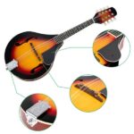A Style Elegant Mandolin with Guard Board Sunset - Image 19