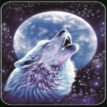 Soft Plush Flannel Silk Touch Throw 50" X60" Wolf Howling at Moon