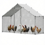 Chicken Coop - Image 2