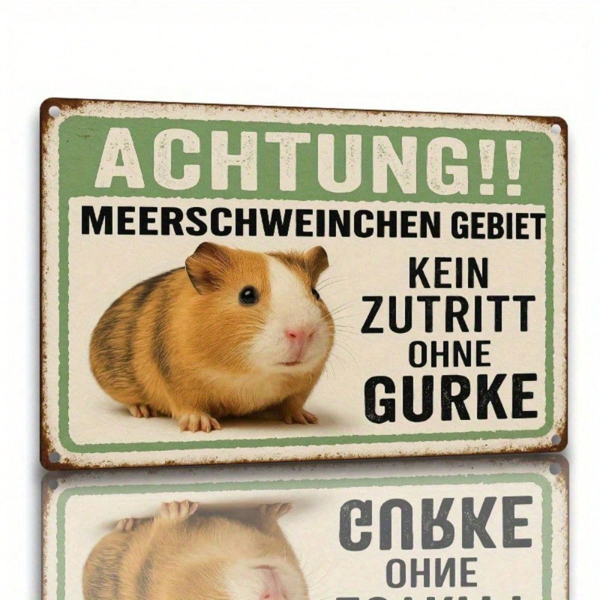 CIFbuy Vintage Guinea Pig No Cucumber Allowed Metal Sign 8x12 Inch Funny Humor Rustic Tinplate Wall Art Waterproof 2D Flat Home Decor TikTok, TikTok, or Self-pickup Logiopics