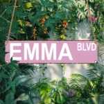 CIFbuy Emma Blvd Wooden Sign 4x16 Inches Wall Decor For Park Community Farmhouse Home Commercial Use (TikTok, temu pick-up service) - Image 4