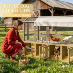Chicken Coop - Image 3