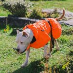 Dog Coats Small Waterproof,Warm Outfit Clothes Dog Jackets Small,Adjustable Drawstring Warm And Cozy Dog Sport Vest- orange size 2XL - Image 3