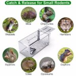 Stainless Steel Rodent Trap - High Sensitivity Pedal Auto-Locks Door, Humane Live Capture - Safe, Durable, Indoor/Outdoor Versatile Placement, Easy to Use - Image 2