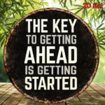 CIFbuy 1pc Secrets To Success Vintage Round Plaque, "" Vintage Round Plaque, Plaque, 8x8in Motivational Wall Sign With English Text TikTok, Temu Self-pickup LogiTeics - Image 5