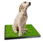 Dog Toilet Indoor Puppy Training Pad, Dog Potty Pet Training Grass Mat, Removable Waste Tray for Easier Clean Up, Artificial Turf, 25"×20" - Image 6