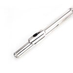Nickel Plated C Closed Hole Concert Band Flute Silver - Image 22