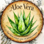 CIFbuy Vintage Aloe Vera Wall Sign 8x8in, "" Retro, Flat Decorative Plaque for Burns & Skin Irritation TikTok, TikTok, temu emu Self-pickup Logitiics