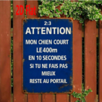 CIFbuy 1pc Funny French Dog Metal Sign, Beware My" Dog Can Run 400 Meters In 10 Seconds Otherwise Stay At The Door, At The Door, 2D Flat Unframed Dec Beware My DoikTok, Beware My DoikTok, t Self-pickup Logiopics - Image 6
