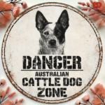 CIFbuy 1pc 2D Flat Round Sign Australian Cattle Dog Vintage Metal Plaque, "" 2D Flat Round Sign Australian Cattle Dog Vintage Metal Plaque, Round Sign Australian Cattle Dog Vintage Metal Plaque, TikTok, Temu Self-pickup Logiquics - Image 6