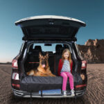 Dog Car Seat - Image 8