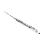 Nickel Plated C Closed Hole Concert Band Flute with E Key - Image 19
