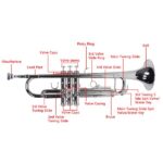 Nickelplated Drop B Adjustable Trumpet Gloves Set Silver - Image 11