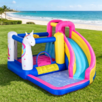 Inflatable Bounce House