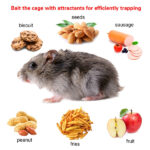 2 pcs Humane Mouse Trap, High Sensitivity Gravity Pedal Auto-Lock Rodent Trap - Sturdy Galvanized Steel, Escape-Proof Small Mesh Design, Safe for Kids & Pets, Easy to Use Indoors/Outdoors for Mice - Image 4