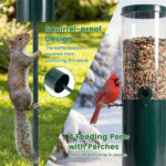 Standing Bird Feeder Squirrel-Proof, 4 Feeding Ports with Perches Heavy-Duty Metal & PC Construction - Image 9