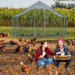 10 x 10 ft Large Metal Chicken Coop, Walk-in Poultry Cage Chicken Hen Run House with Waterproof Cover, Rabbits Cats Dogs Farm Pen for Outdoor Backyard Farm Garden SAME AS09877689 - Image 8