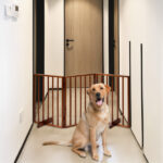 The Wooden Dog Fence Brown - Image 6