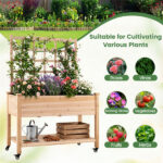47" Raised Garden Bed with Trellis & Rolling Wheels, Mobile Fir Wood Planter Box for Climbing Plants - Image 9