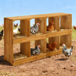 Nesting Boxes for Chickens, Wooden Chicken Nesting Box, Laying Eggs Nest Box for Chickens Hens Ducks, Yellow, 8 Compartments - Image 5