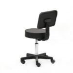 Round Shape Plastic Adjustable Salon Stool with Back Black - Image 17