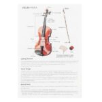 Do Not Sell on Amazon GV103 4/4 Spruce Panel Violin Matte White - Image 20