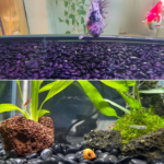 ​​38lbs Black River Rocks, 2-3 inch Polished Pebbles for Plants, Vase Filler, Aquarium, Landscaping, Indoor/Outdoor Decor - Image 4