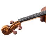 Do Not Sell on Amazon GV103 4/4 Spruce Panel Violin Matte Natural - Image 19
