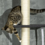 Cat Tree - Image 7