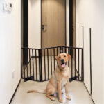 The Wooden Dog Fence Walnut - Image 5