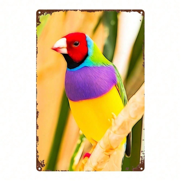 CIFbuy Gouldian Finch Metal Sign 8x12 Inch, Vintage Farmhouse Bird Wall Art, 2D Flat Metal Plaque For Home Decor, Kitchen Bathroom Bedr TikTok, TikTok, Flat Metal Plaque For Home Decor Self-pickup Logiopics