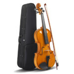 Do Not Sell on AmazonFull Size 4/4 Violin Set for Adults Beginners Students with Hard Case,Violin Bow,Shoulder Rest,Rosin,Extra Strings and Sordine - Image 14