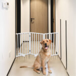 The Wooden Dog Fence White - Image 6
