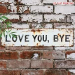 CIFbuy Vintage Love You Bye Bye Metal Sign Home Bar Cafe Decor Xmas Halloween Gift Wall Decor 8x12 Inches (TikTok, temu pick-up service)