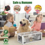 2 pcs Dual-Door Humane Rat Trap - Continuous Mouse Catching, Heavy-Duty Galvanized Iron Construction - Safe for Pets & Kids, Indoor/Outdoor Use, 3S Quick Setup - Image 7