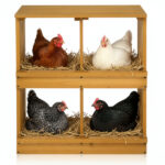 Nesting Boxes for Chickens, Wooden Chicken Nesting Box, Laying Eggs Nest Box for Chickens Hens Ducks, Yellow, 4 Compartments - Image 11