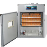 56H 56-Egg Incubator 110V 85W, Fully Automatic Turner, Upgraded LED Candler, Auto Temp & Humidity Control (Fahrenheit Display), ABS+PET Orange-White Body Clear Lid, Multi-Function Strip Egg Tray (US Plug) - Image 15