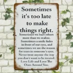 CIFbuy Sarcastic Retro Metal Sign Sometimes It's Too Late To Correct Rustic Wall Decor For Home Porch Garage Cafe Bar Garden (TikTok, temu pick-up service) - Image 5