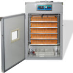 56H 56-Egg Incubator 110V 85W, Fully Automatic Turner, Upgraded LED Candler, Auto Temp & Humidity Control (Fahrenheit Display), ABS+PET Orange-White Body Clear Lid, Multi-Function Strip Egg Tray (US Plug) - Image 17