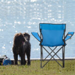 Small Camp Chair 80x50x50 Blue - Image 21