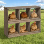 Nesting Boxes for Chickens, Wooden Chicken Nesting Box, Laying Eggs Nest Box for Chickens Hens Ducks, Gray, 6 Compartments - Image 5