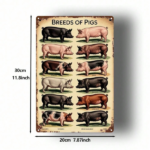 CIFbuy Vintage Pig Breeds Metal Sign 8x12 Inch Retro Distressed Wall Art 2D Flat Metal Poster For Home Garage Bar Cafe Restaurant Decor TikTok, TikTok, Self-pickup Logiopics - Image 2