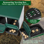 2 Compartment Roll Out Chicken Nesting Box with Plastic Basket, Egg Nest Box Chicken Laying Box Hens Chicken Coop Box, Green - Image 2